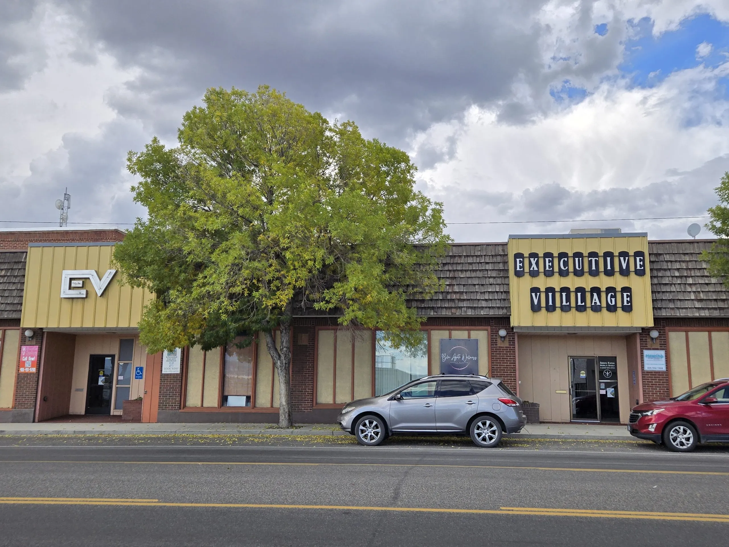 Executive Village storefront with two parked cars and a large tree
